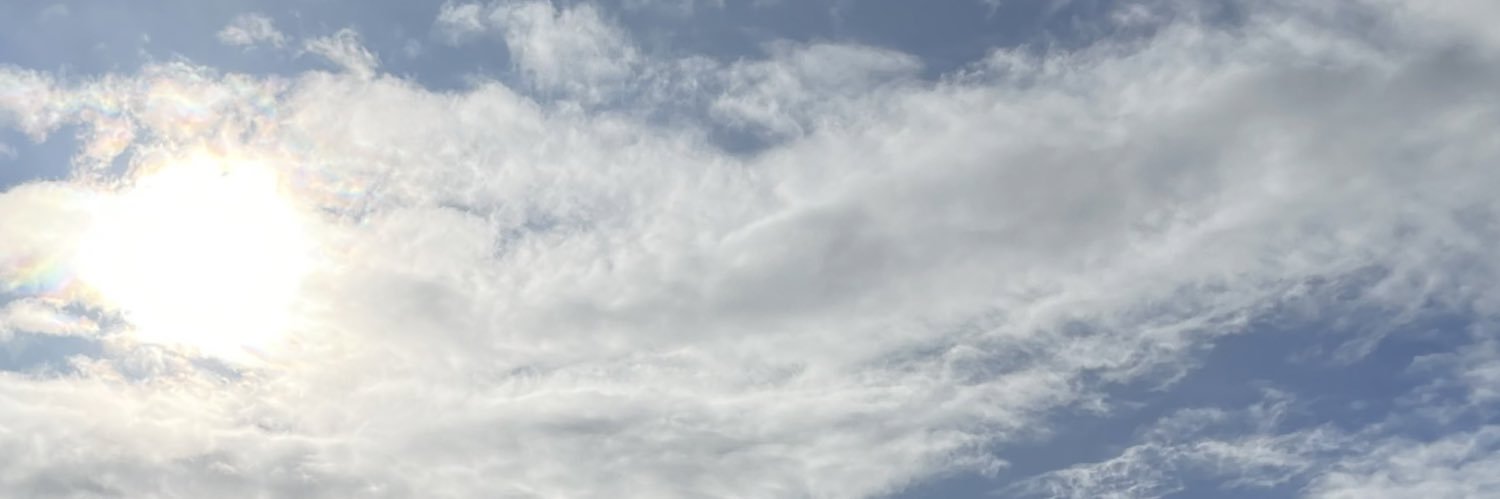 Extranious A (VIC/Tim) banner