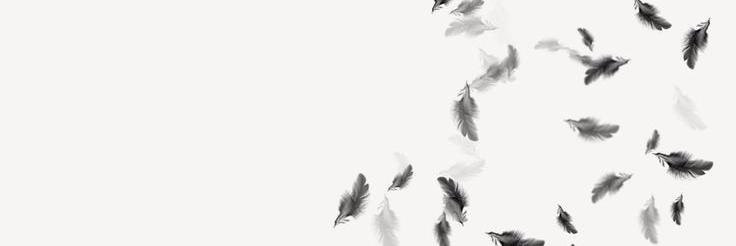 jbjfq20's profile banner image