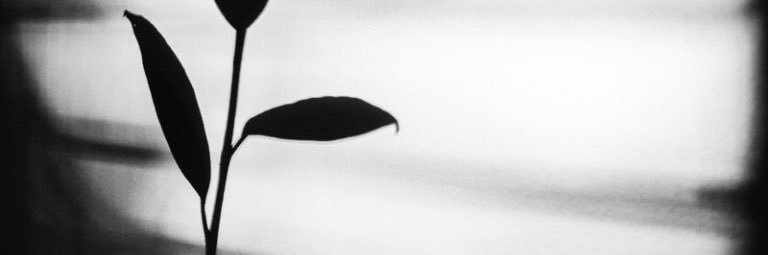 signofhrrys's profile banner image