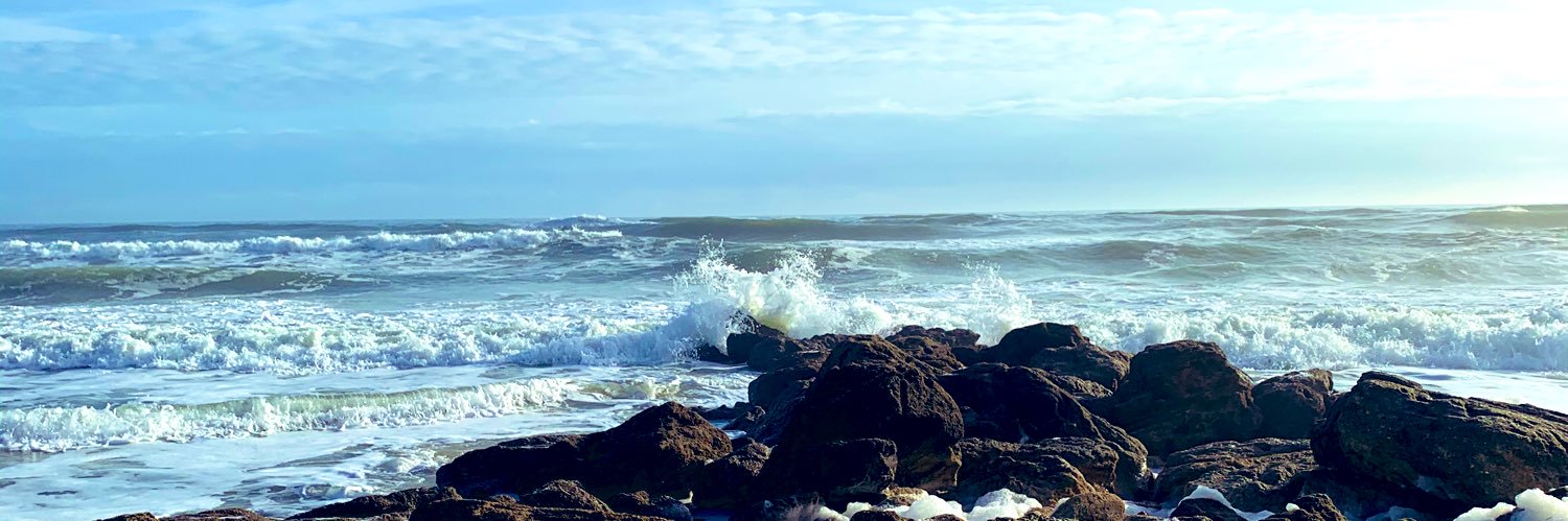 Jessica Tittl Nielsen banner