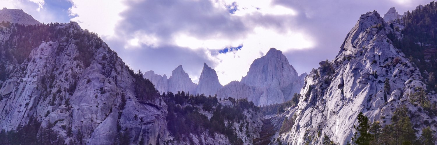 Runz 🐾 🇺🇸 banner