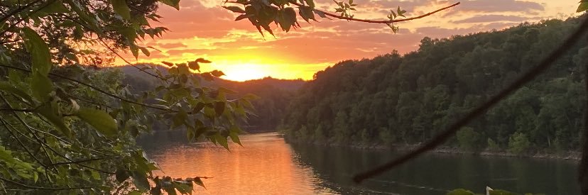 MDBird54's profile banner image