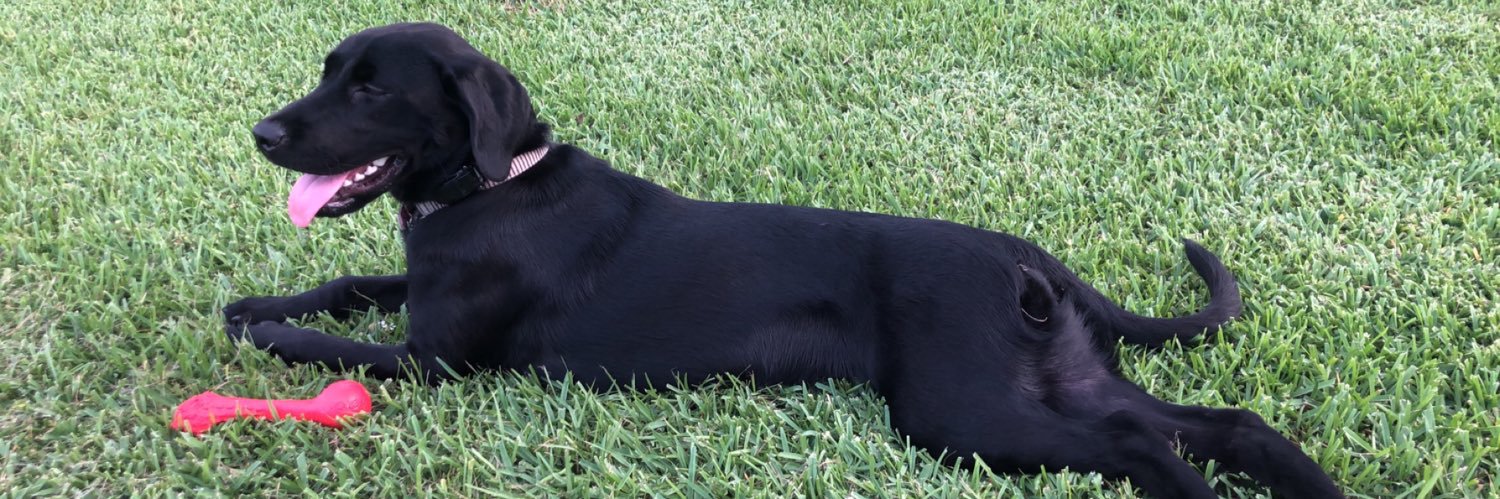 CourtneySeals1's profile banner image