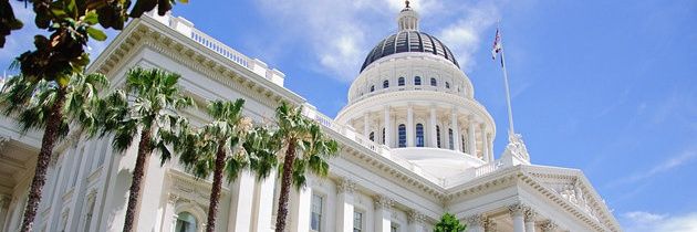 Brandon P. Seto banner