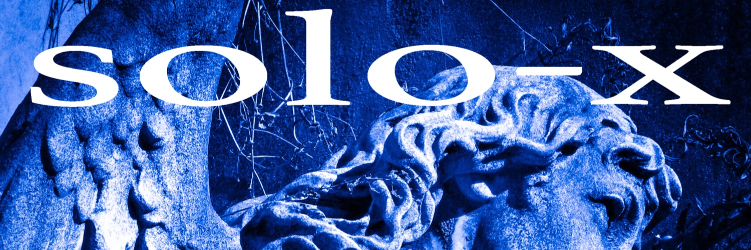 SoloXExperience's profile banner image