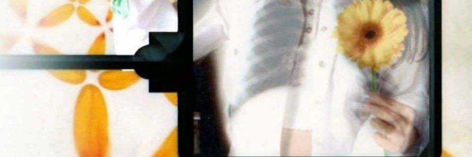 Yoali_D_F's profile banner image