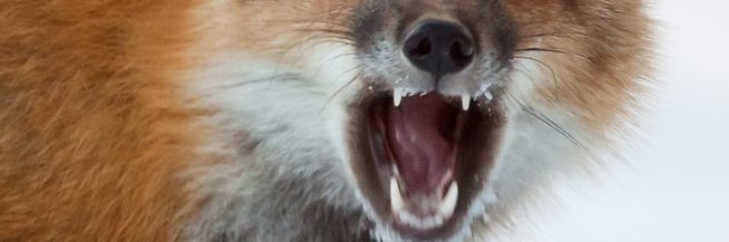 Mezigue64's profile banner image