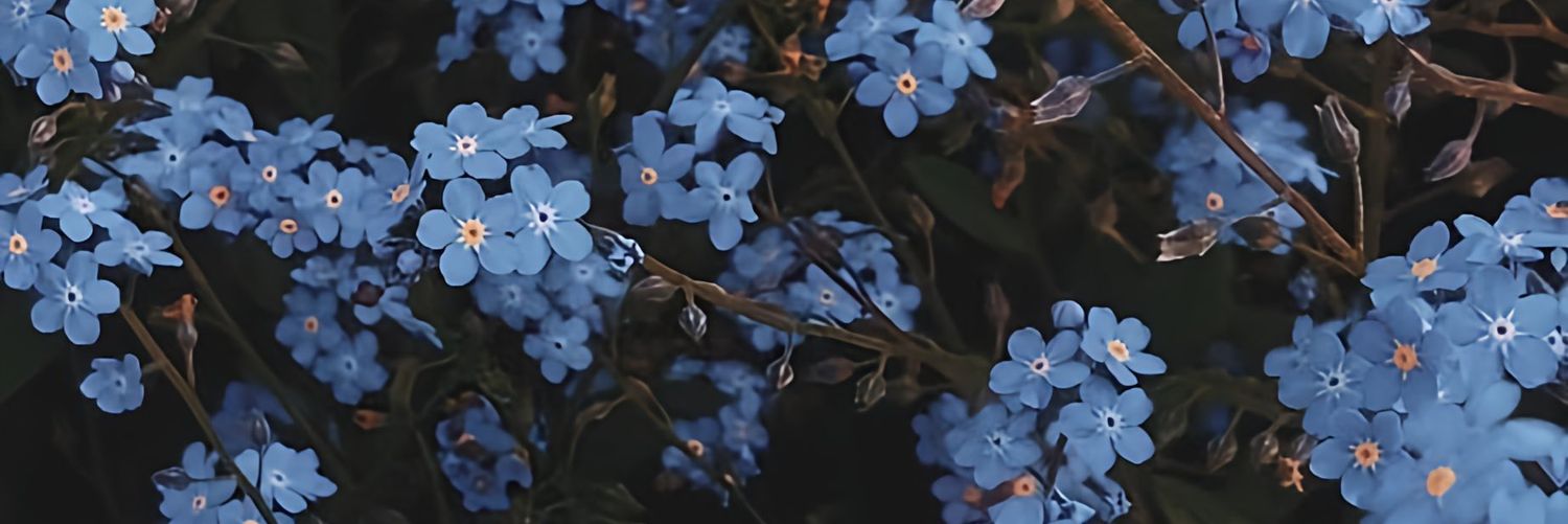 ermadhya's profile banner image