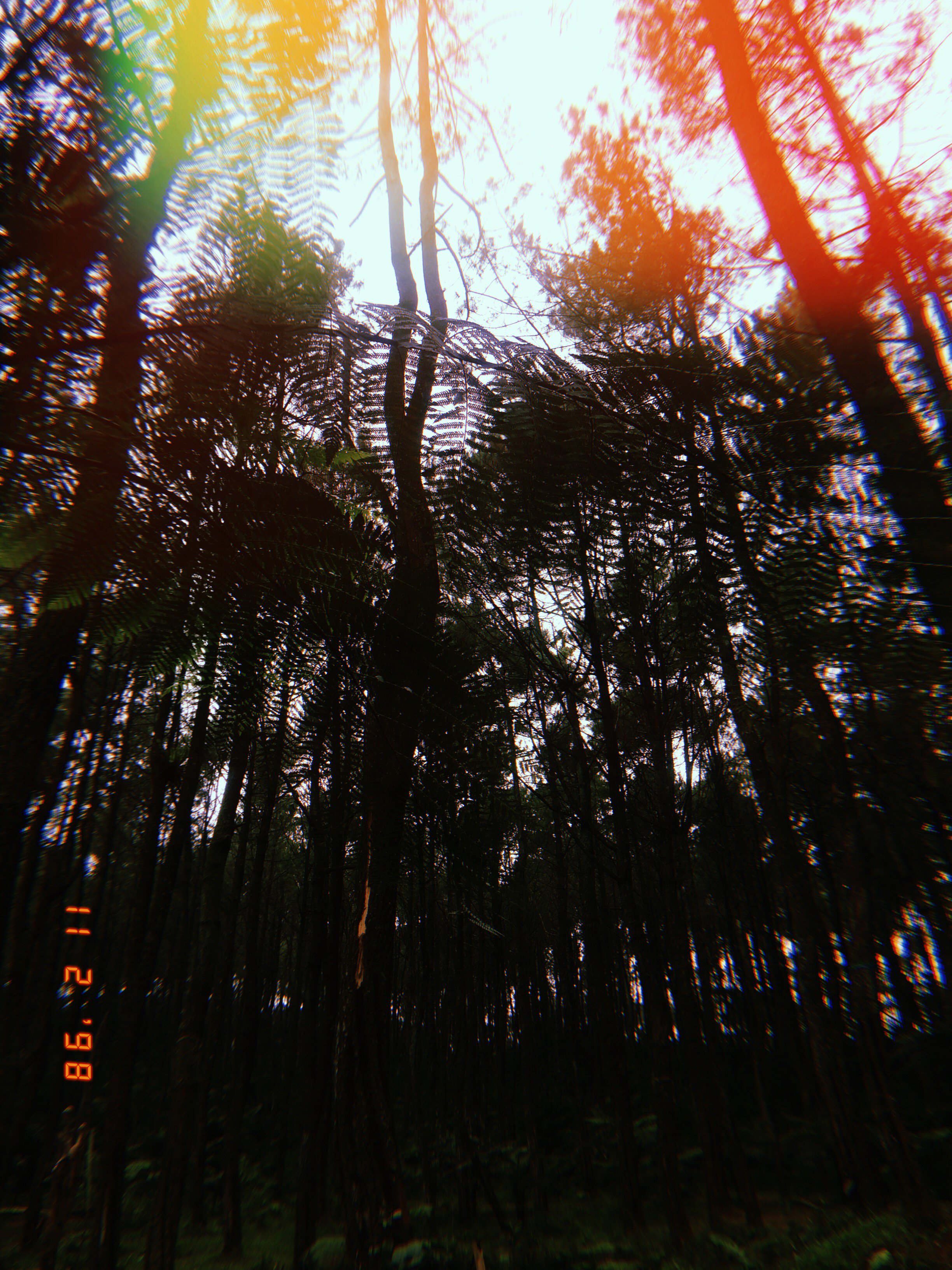 nabilanoov's profile banner image