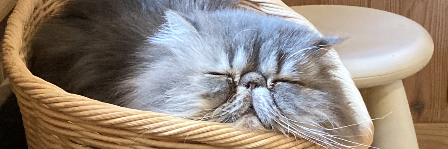 ガルバトス@執筆再開します! banner