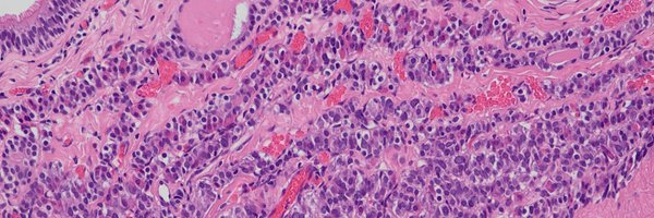 Pathmath1 Profile Banner