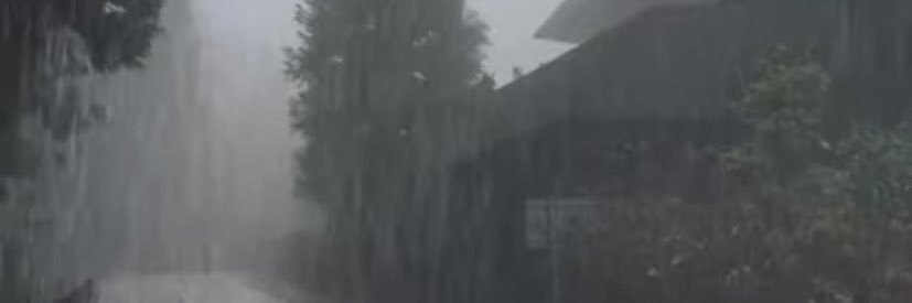 enhlent's profile banner image