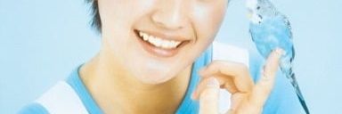koji P banner