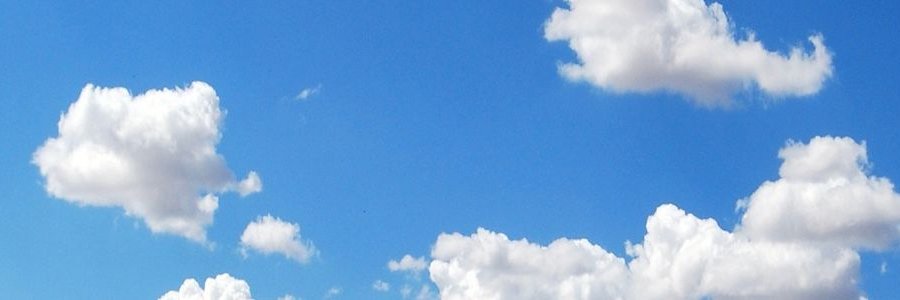 crankycatprof's profile banner image
