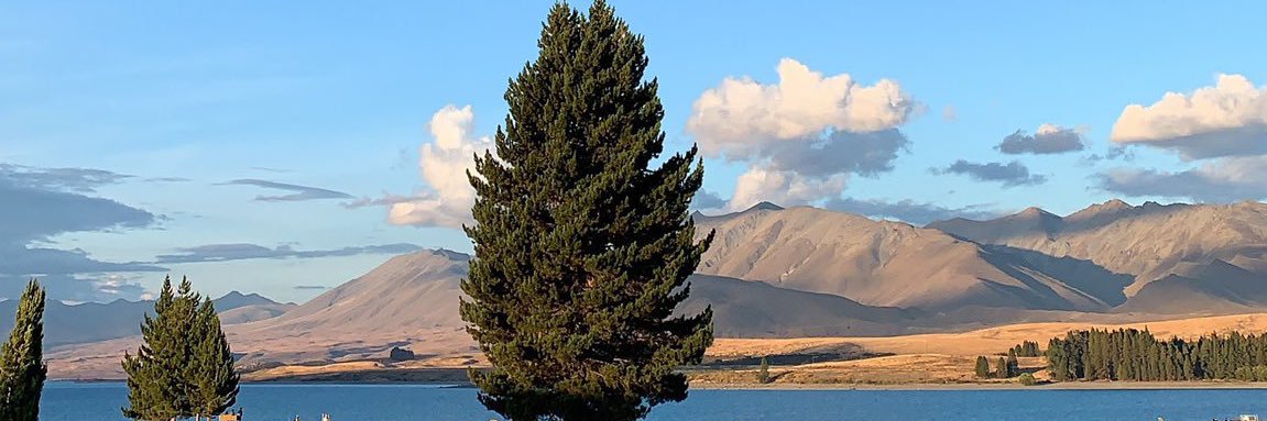 surxpxii's profile banner image