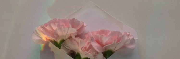 refa_sunshine's profile banner image