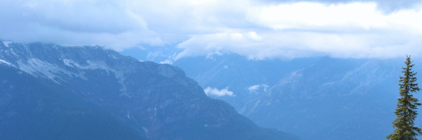 NEFerraro's profile banner image