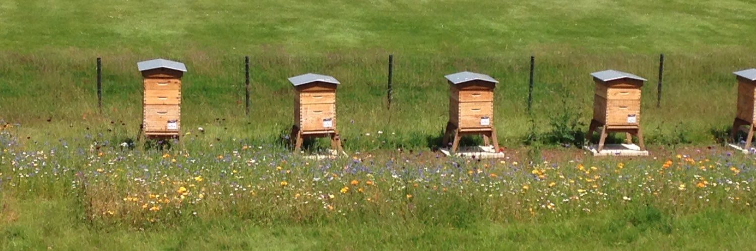 Paris en vert banner