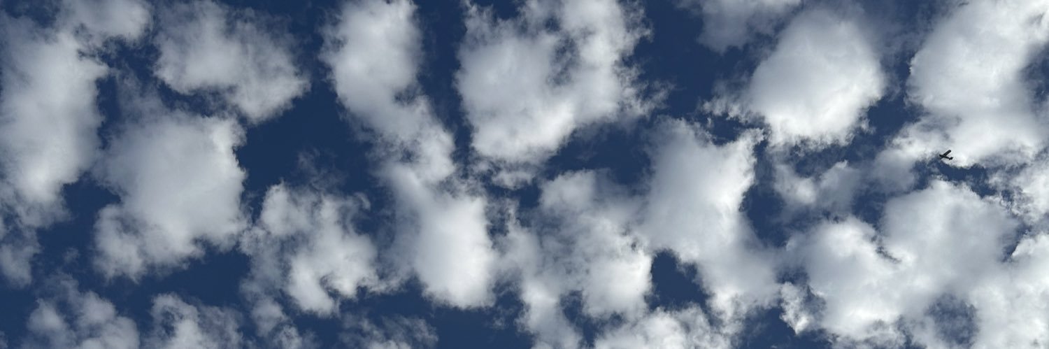 Eliannarp's profile banner image