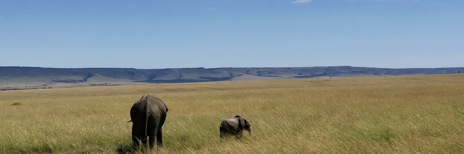 NutnutnutnutWTF🏳️‍🌈 banner