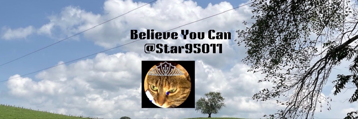 star95011's profile banner image