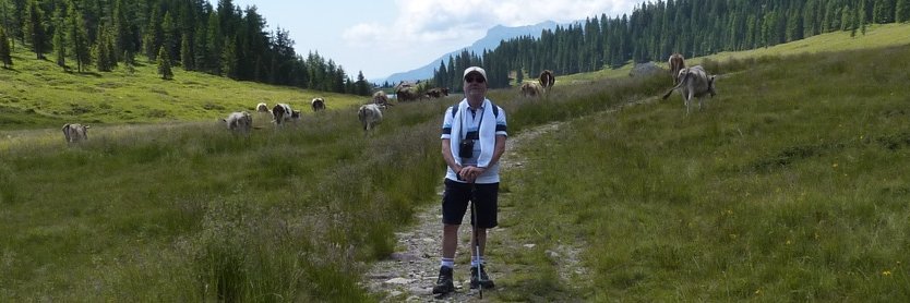 angelo gamberini banner