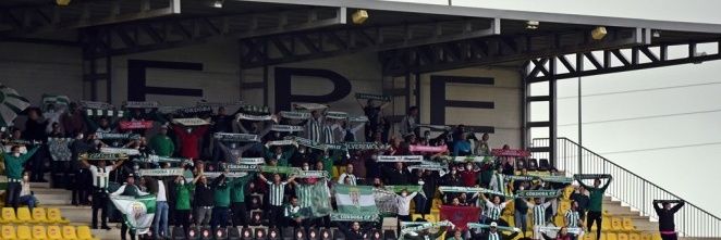 Rafaé banner