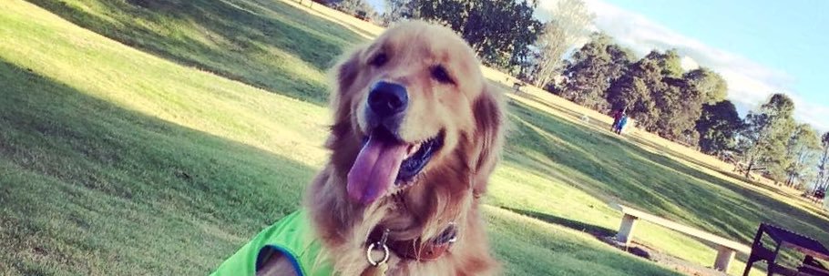 Unafertnanda's profile banner image