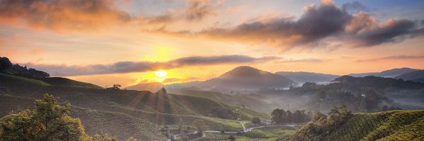 nome não pode ficar em branco banner