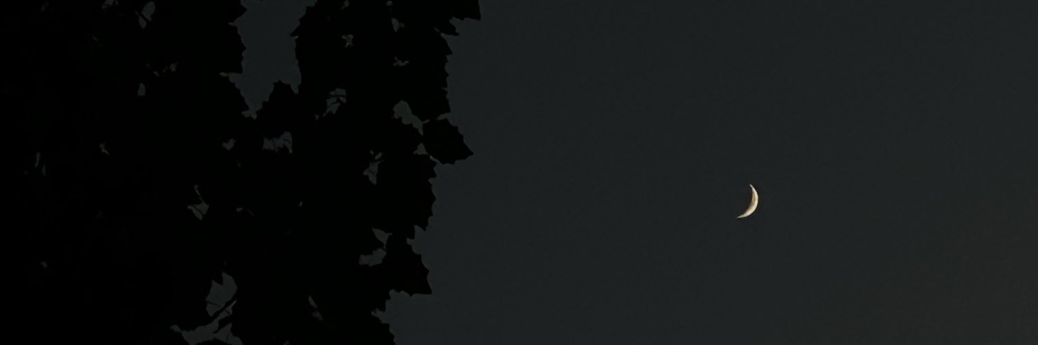 whiteminddd's profile banner image