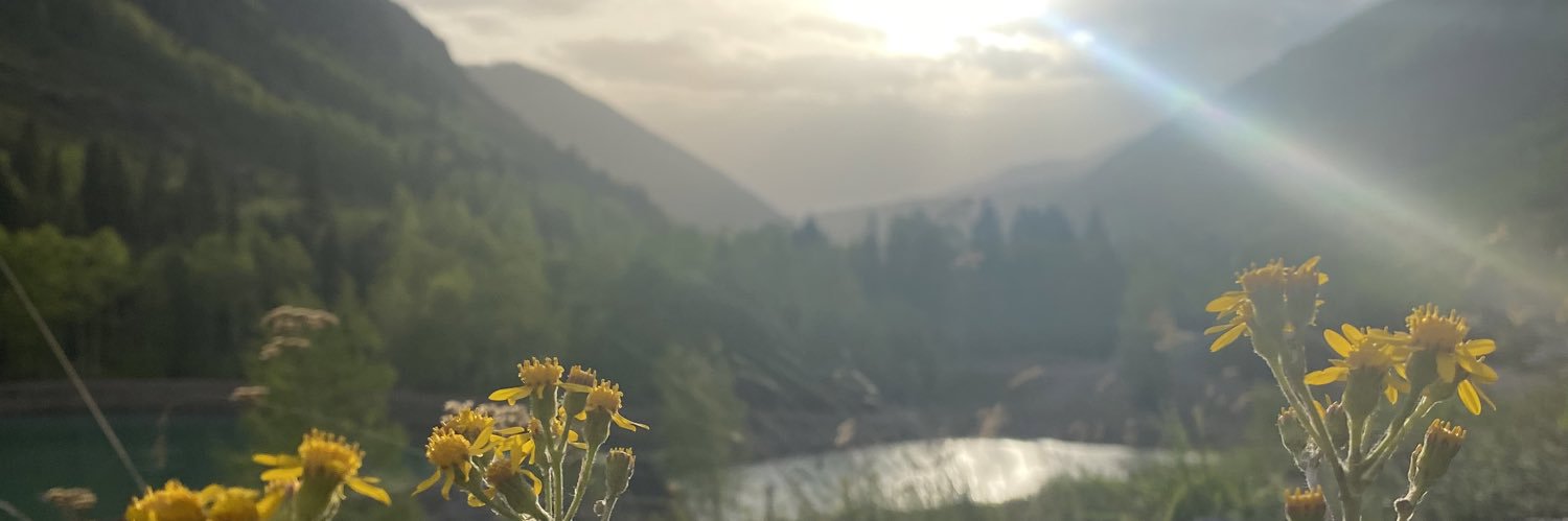 BH0FF12's profile banner image