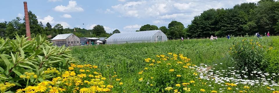 Waltham Fields banner