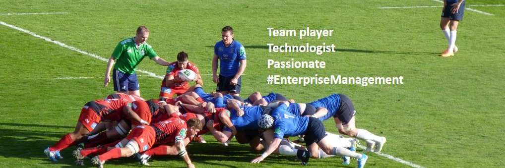 Dominique Bopp banner