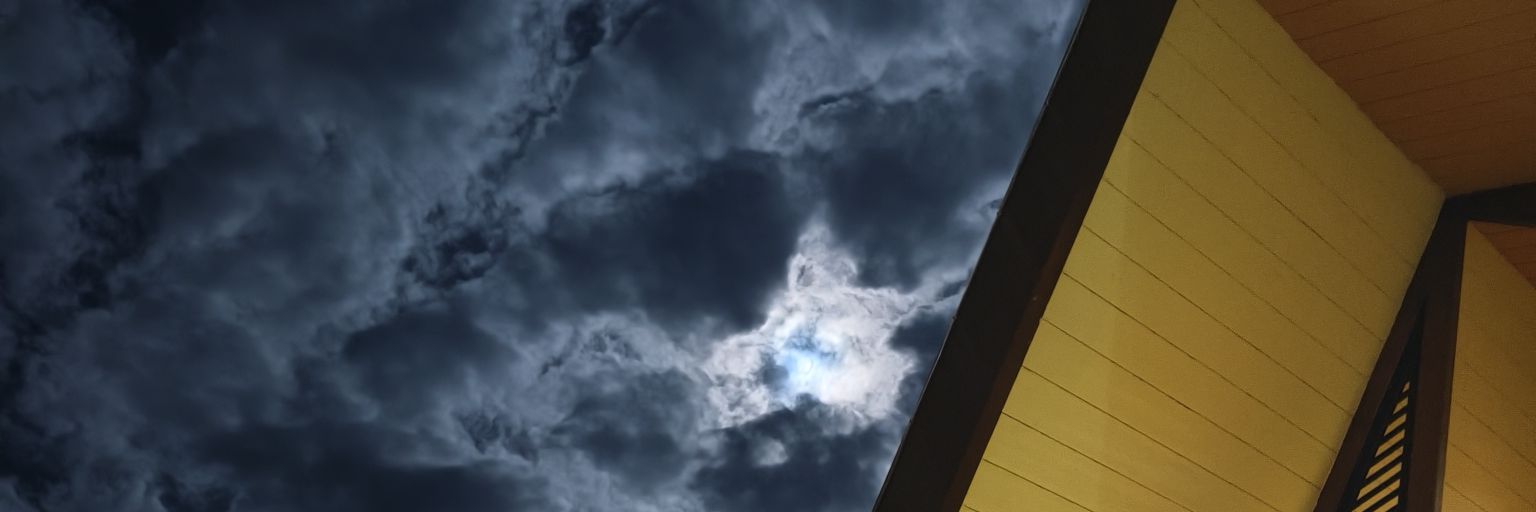 xbluemingmoonx's profile banner image