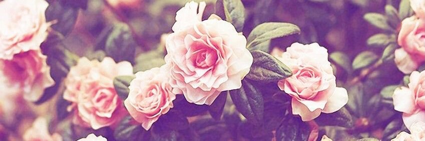 Jessica_Lynn990's profile banner image