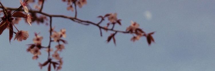 amanix92's profile banner image