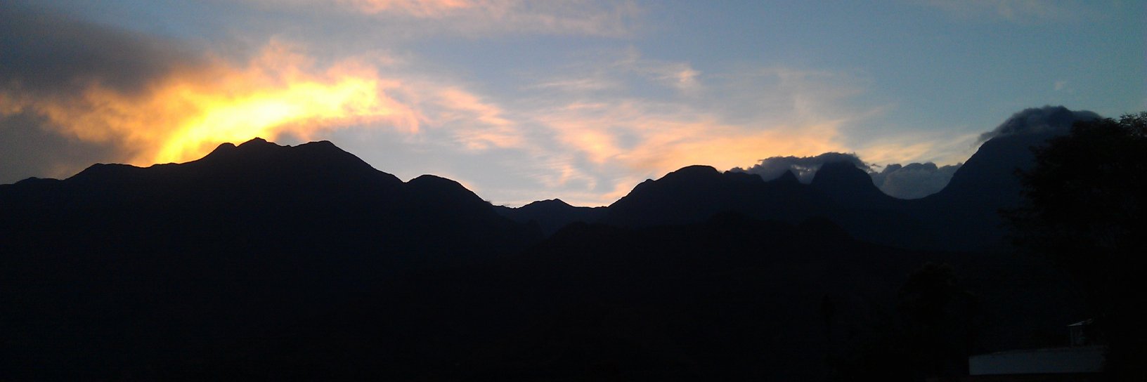 Amanda D. Rodewald banner