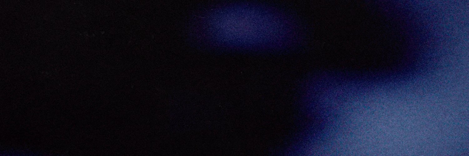 VANYFOX banner