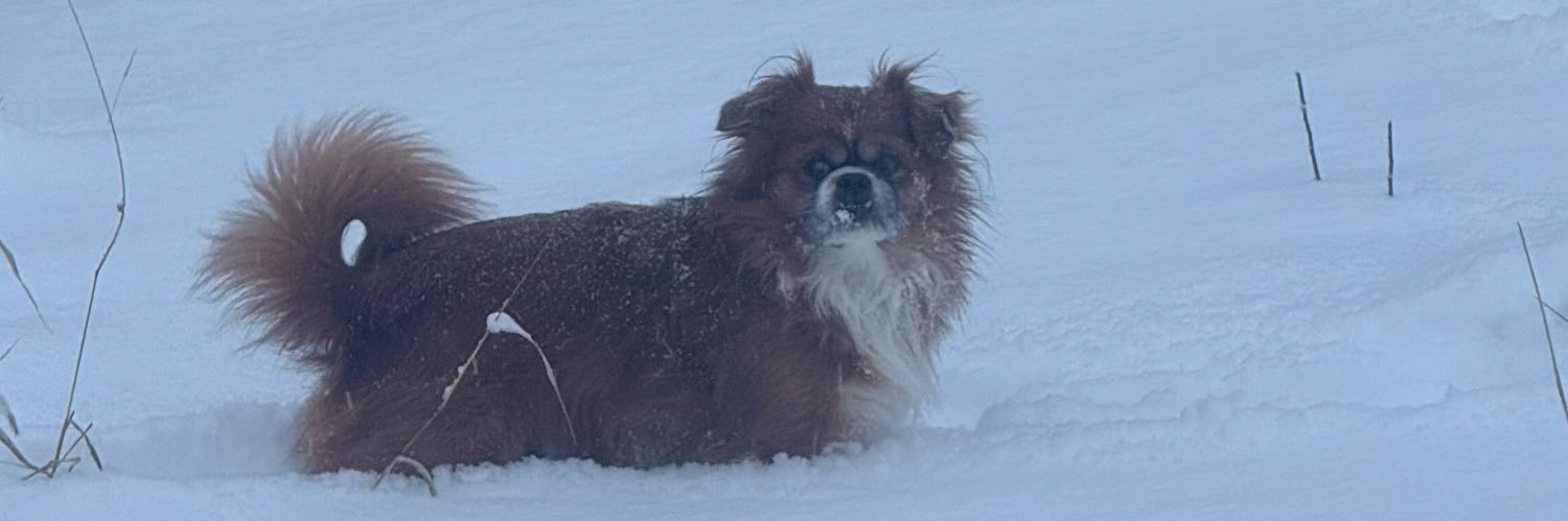 Chris Cernoch banner