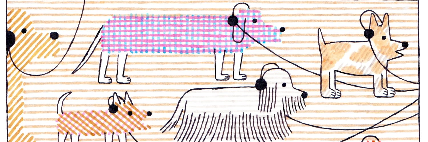 s o f í a banner