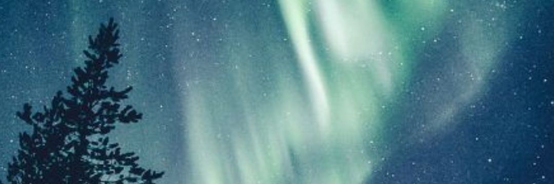 danielaore15's profile banner image