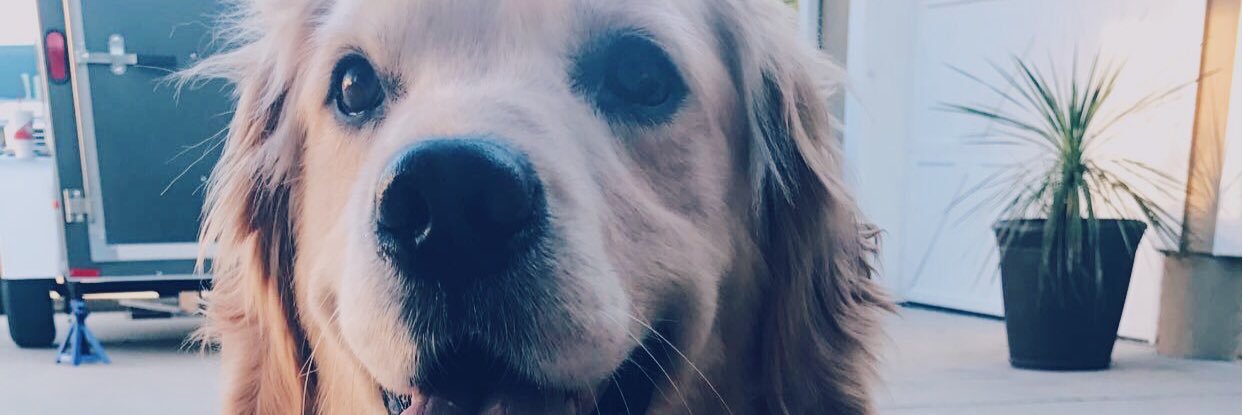 HunterBuben's profile banner image