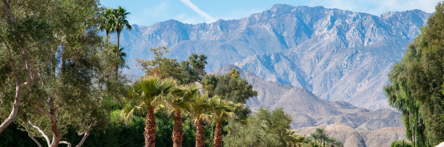 Lisa Middleton banner