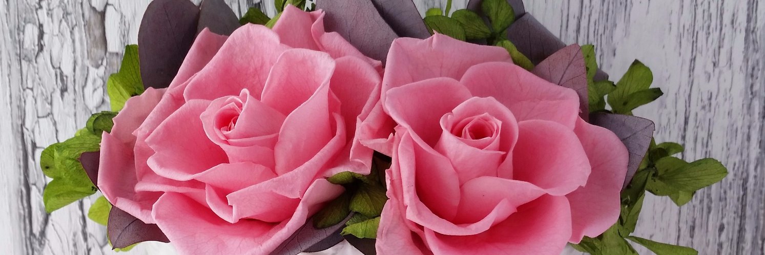 ruminail's profile banner image