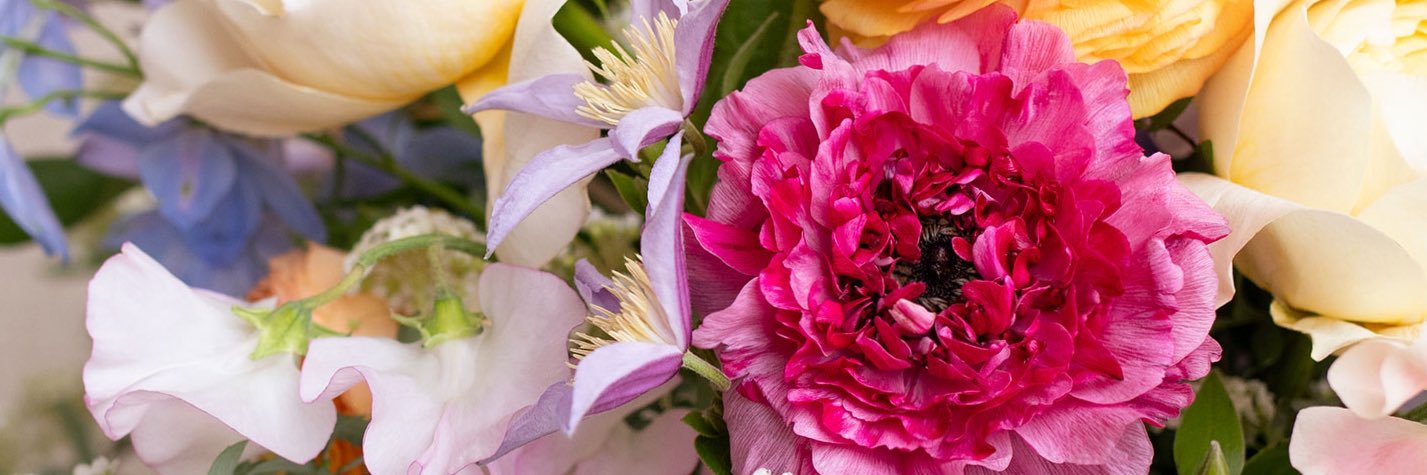 DVFlora banner
