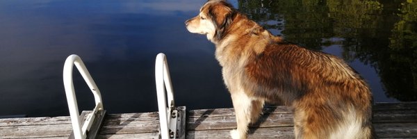 AndrewWR6 Profile Banner