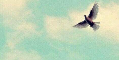 мячσσм ^^ banner