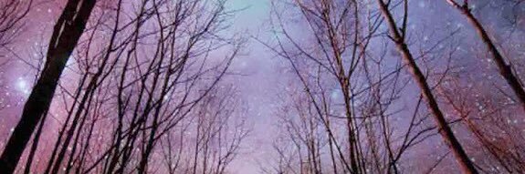 alliwillbelieve's profile banner image