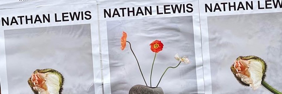 Nathan Lewis | IG __nathanlewis banner