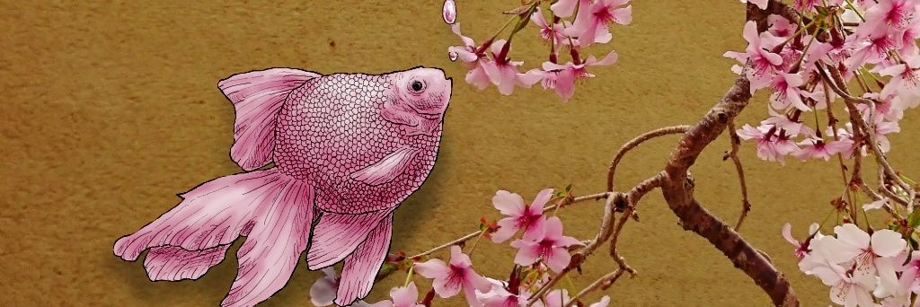 metamonpanda's profile banner image